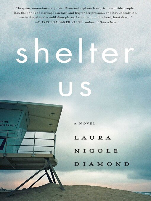 Cover image for Shelter Us